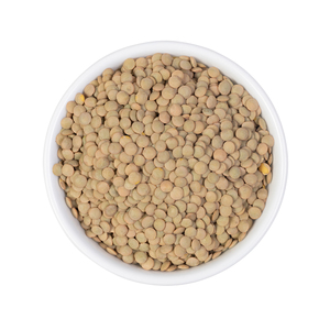 Lentilles vertes de qualité export en vrac, livraison rapide et approvisionnement fiable - Product Image 6