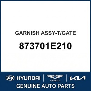ชุดแต่งขอบตัวถังและคิ้วขอบประตู Accent รุ่น 873701E210 - Product Image 1