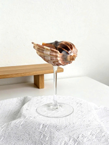 Copas de Martini Personalizadas Hechas a Mano con Conchas Marinas, Ligeras, Reutilizables, Regalos Personalizados para Damas de Honor, Despedida de Soltera - Product Image 3