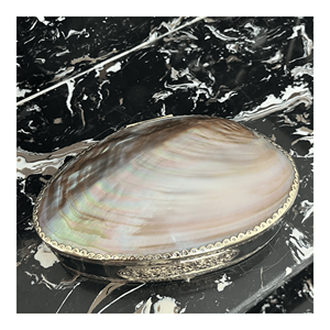 Iridescent <b>Shell</b> Jewelry Box produced with natural <b>shell</b> surface and wood base for jewelry storage and home decor use Vietnam - Product Image 2
