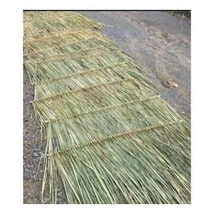 Fibra Natural de Pasto Marino Crudo de Primera Calidad para Cestas Hechas a Mano, Alfombras, Tapetes, Tejidos, Material Artesanal Sostenible, Venta al Por Mayor - Product Image 6