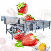 Hogedruk Industriële Champignondadels Wasmachine Cassave Zoete Aardappel Ananas Waslijn Kersenpeper Appel Reinigingsmachine