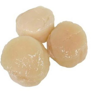 เนื้อหอยเชลล์แช่แข็งสดคุณภาพสูงราคาประหยัดและอาหารทะเลแช่แข็ง - Product Image 5