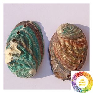 Matériel artisanal en coquille d'ormeau pour la mosaïque, projets décoratifs, produits faits à la main, découpe et design sur mesure - Product Image 1