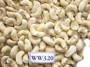 เม็ดมะม่วงหิมพานต์เวียดนาม WW180, 210, 240, 320, 450 คุณภาพพรีเมียม ราคาแข่งขันสำหรับผู้นำเข้าทั่วโลก [Evelyn] - Product Image 4