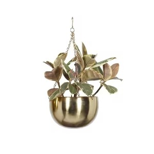 Modern Minimalist Metal Wall Hanging Planter with Gold Pots for Indoor Green <b>Plants</b> Elliptical Design Powder Coated Finish - Product Image 2