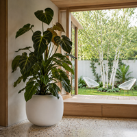 Grand olivier artificiel, plante d'intérieur en fibre de verre avec pot, pour la décoration de la maison, du bureau ou de l'hôtel
