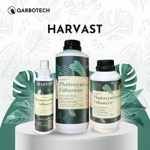 Engrais liquide biologique Harvast Photosynthesis Enhancers pour le jardinage domestique, pureté 99 %, formule à base de C, libération rapide - Product Image 1