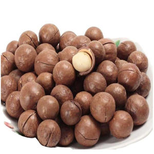 Suministro a granel de cáscaras de nuez de macadamia para exportación a los mejores precios, nuez de macadamia en cáscara de alta calidad en venta - Product Image 1