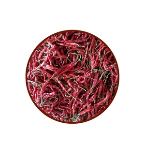Paprika cru épicé au piment rouge séché entier de qualité supérieure, procédé de séchage publicitaire, vente en gros à des prix abordables - Product Image 2
