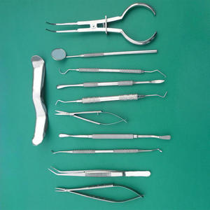 Pinza Palmer para Dique de Goma 17cm, Instrumentos Endodónticos de Acero Inoxidable de Alta Calidad, Fórceps Dentales Rectos Brewer Dentavex CE - Product Image 1