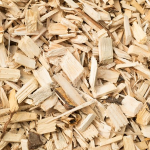 Virutas de Madera Blanda/Dura de Acacia, Eucalipto y Pino a Precios Accesibles, Suministradas para Pedidos al por Mayor con Entrega Confiable, Venta al por Mayor de Virutas de Madera - Product Image 5