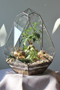 Terrario Personalizado en Forma de Cabaña de Metal y Vidrio, Macetero Moderno de Vidrio para Plantas de Interior, Suculentas, Plantas Aéreas y Terrarios DIY - Product Image 5