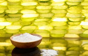 Export-grade aloe vera powder <b>extract</b> 100X for international cosmetic manufacturing and reliable raw material supply - Product Image 2