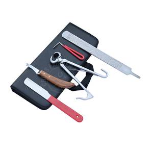 Kit d'outils de fermeur professionnel avec poignée rouge antidérapante, couteau à sabots, cisaille à sabots pour poulains, cure-sabot, râpe à sabots, lime à sabots, couteau à sabots à lame en D - Product Image 1
