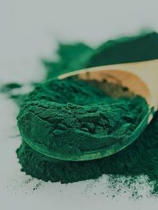 Poudre de spiruline finement moulue, qualité alimentaire 100%, ingrédient superalimentaire pour améliorer l'immunité et l'énergie, emballage personnalisé de 25 kg - Product Image 6