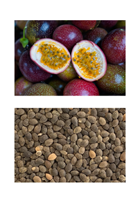 Fabricant vietnamien Prix compétitif Grande vente Meilleures ventes Approvisionnement en vrac de graines séchées de fruits de la passion - Product Image 6