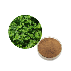 Polvo de Hoja de Balsamo de Limón Premium, Grado Alimenticio, Proveedor a Granel de Polvo de Hoja de Balsamo de Limón para Tés Herbales y Suplementos Nutricionales - Product Image 3