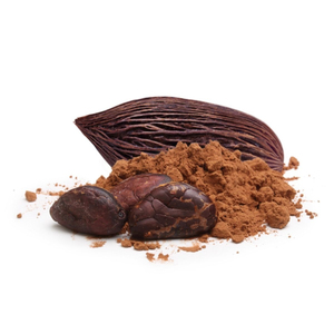 Fèves de cacao de qualité supérieure, commandes en gros, qualité alimentaire, prêtes à être expédiées, fournisseur d'exportation fiable - Product Image 2