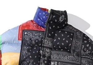 Chaqueta de invierno para hombre, chaqueta cortavientos con cuello alto, chaqueta informal de plumón para hombre, chaqueta con cremallera de corte regular. - Product Image 2