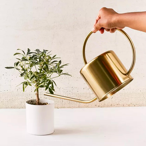 Arrosoir en métal pour plantes, 1,5 litre, arrosoir doré à long bec pour l'intérieur, l'extérieur, le jardin, la maison, le balcon, le bureau, décoratif - Product Image 2