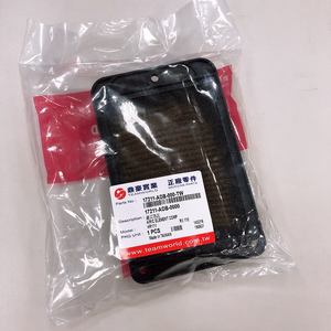 Filtro de Aire Original SYM para Jet14, JetX, Jet4 125, Fiddle, Orbit III, CruiSym 150, Symphony S/SR/ST Cargo 50-200, 17211-ADB-000 - Product Image 2