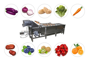 Lavadora automática de lavado de burbujas de frutas y verduras de transporte continuo - Product Image 5