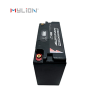 Mylion OEM Pasokan Massal Industri Baterai LiFePO4 360Wh 3.2kg 195*133*171mm 12V 30Ah untuk Integrator Sistem Proyek Industri