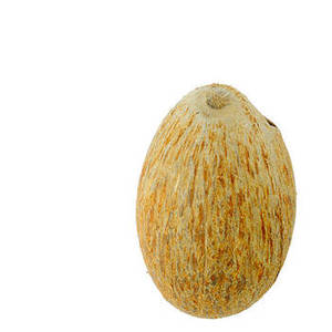 Noix de coco entière indienne séchée de qualité supérieure, copeaux de coprah mûre blanchis et séchés par lyophilisation, haute qualité, export, vente en gros pour acheteurs, distributeurs, importateurs - Product Image 5