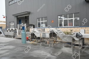 100 kg/h automatique demi-frit pommes de terre bâton longues frites machines pour pommes de terre congelées frites Machine - Product Image 6