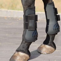 Protège-tendons de cheval en acier inoxydable et nylon, amortissants, avec coussinet de protection renforcé et fermeture ajustable pour la protection des tendons du cheval