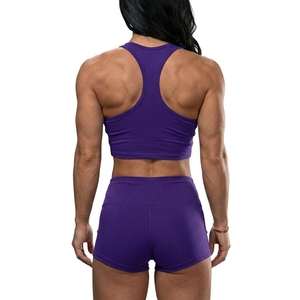 High Waisted Gym Shorts and Sports Bra Set Women's Yoga Fitness <b>Clothing</b> - Product Image 3