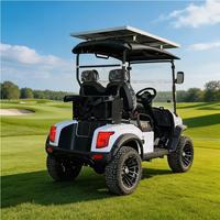 Voiturette de golf électrique personnalisable 5KW AC, 2 places, batterie lithium 48V, châssis métallique, pour terrains de golf et villas de vacances