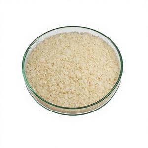 Hojuelas de Quitosano PANVO 99% de Pureza, Grado Industrial, Número CAS 9012-76-4 Hecho en India - Product Image 2