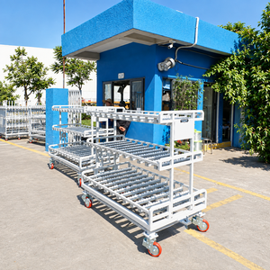 Carro de Plataforma Plateado de Aleación de Aluminio OEM para Transporte de Carga con Recubrimiento en Polvo, 300 kg, 1 Año de Garantía, Vietnam - Product Image 5