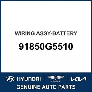 Nouvelles batteries Niro 91850G5510 - Product Image 1