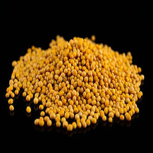 Graines de moutarde brune gujaratienne biologiques, haute pureté, entières, durée de conservation de 24 mois, Fittree International Condiment B2B Direct - Product Image 1