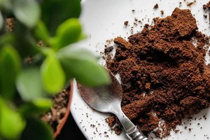 กาแฟเวียดนามบดแบบขายส่ง ราคาแข่งขัน คุณภาพเยี่ยม คั่วอ่อน 100% โรบัสต้า อายุการเก็บรักษา 24 เดือน - Product Image 3