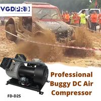 Pompe compresseur d'air à double piston à suspension pneumatique professionnelle sans huile 48V DC résistant aux intempéries à haute efficacité et à long cycle de service