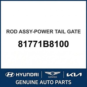 อะไหล่รถยนต์และรถบรรทุกซานตาเฟ่ใหม่ รุ่นอื่นๆ และอุปกรณ์เสริม 81771B8100 - Product Image 1