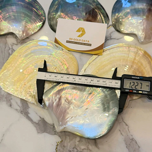 Assiette élégante en mosaïque de nacre pour la décoration de table à la maison et lors de banquets - Product Image 1