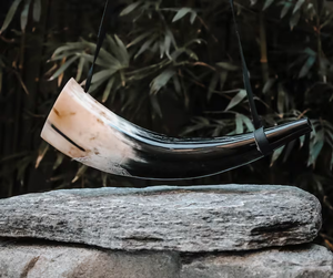 PERFECT ENTERPRISES - Cuerno de Viento Ecológico Pulido, Diseño Moderno Hecho a Mano para Coleccionistas y Entusiastas - Product Image 1