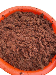 บล็อกใยมะพร้าวแบบขายส่ง ขนาด 5 กก. และ 650 กรัม คุณสมบัติรักษาความชื้นสูง ค่า EC ต่ำ พร้อมใช้งาน วัสดุปลูกคุณภาพพรีเมียม - Product Image 3