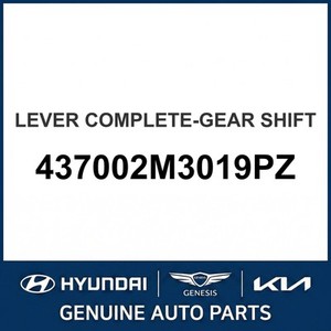 Nuevas Piezas y Accesorios para Autos y Camiones 437002M3019PZ - Product Image 1