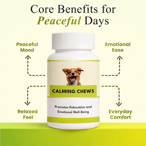 OEM ODM Golosinas Suaves Calmantes para Perros, Alivio de la Ansiedad y el Estrés, Apoyo para la Relajación, Comportamiento Tranquilo, Suplemento Nutricional para Mascotas, Marca Privada - Product Image 2
