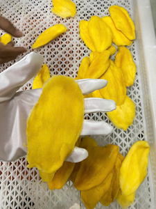 Morceaux de mangue séchée moelleuse, matière première pour les collations, la pâtisserie, les garnitures de desserts, la restauration, en provenance du Vietnam - Product Image 3