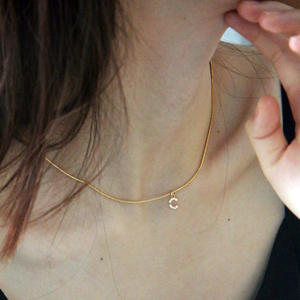 Collier de haute qualité avec lettres anglaises, design de niche, chaîne serpent, chaîne à fermoir, chaîne fine pour pendentifs, charmes, Europe, Amérique - Product Image 2