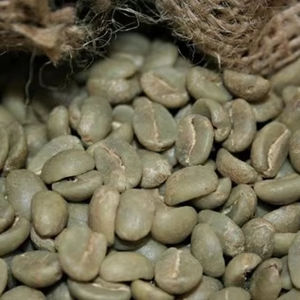 Grains de café vert Robusta biologique de qualité supérieure, taille 16, brisés noirs 0,1 %, certifiés USDA, haute qualité, export, marque TNFOOD + 98 % - Product Image 1