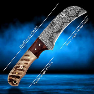 Cuchillo Táctico de Acero de Damasco Hecho a Mano con Mango de Palisandro y Hueso, Hoja Fija de 8 Pulgadas, Funda de Cuero y Orificio para Cordón - Product Image 4