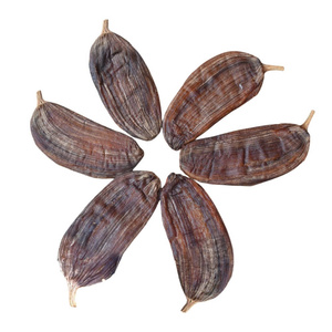 Tranches de banane non pelées séchées à doux Carton de 20kg Longue durée de conservation Goût sucré en vrac et emballage sous vide pour une utilisation instantanée - Product Image 5